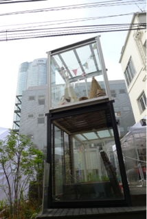 image-20111130234901.png